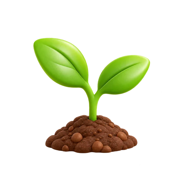 Kiemplantje, het symbool van Cher's Kids voor groeien