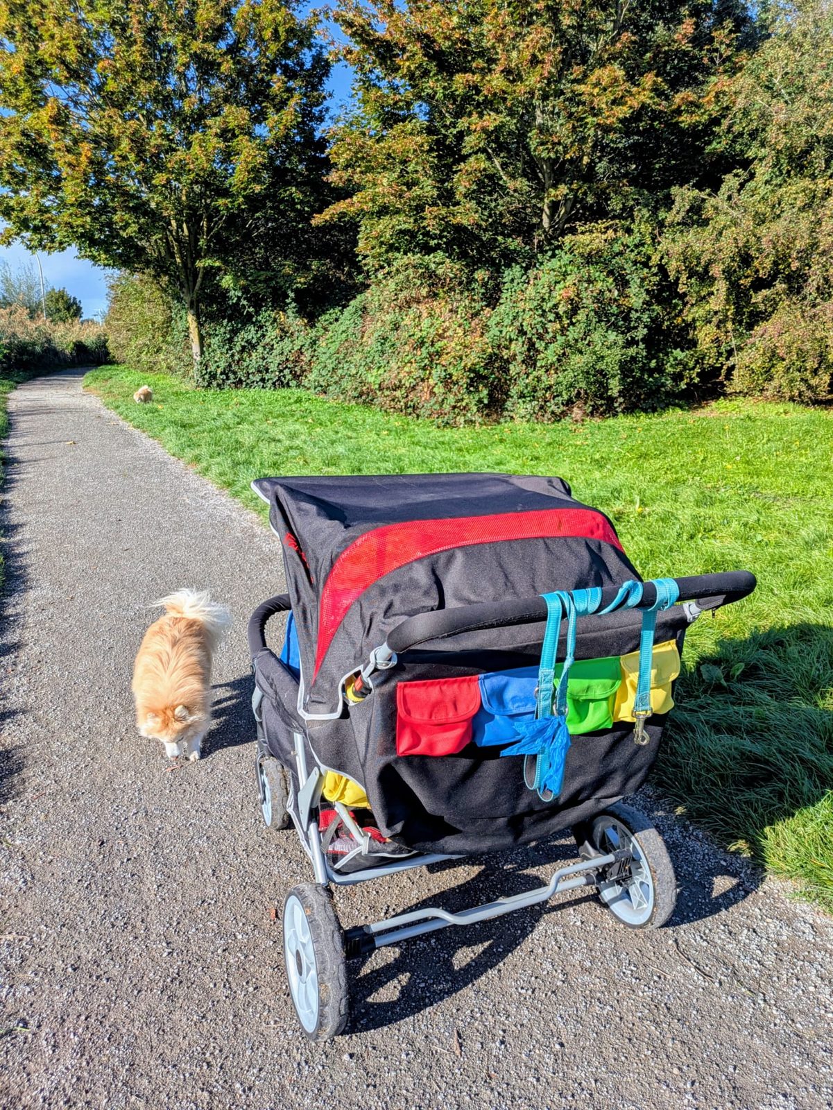 De bolderkar op een pad met de hond ernaast